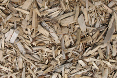 biomass boilers Batemoor
